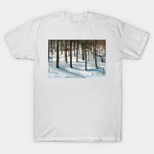 Into the Woods T-Shirt